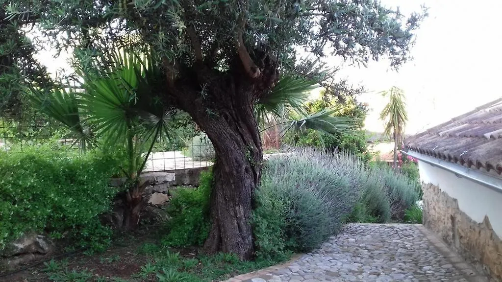 Casas De Almajar Villa Prado Del Rey