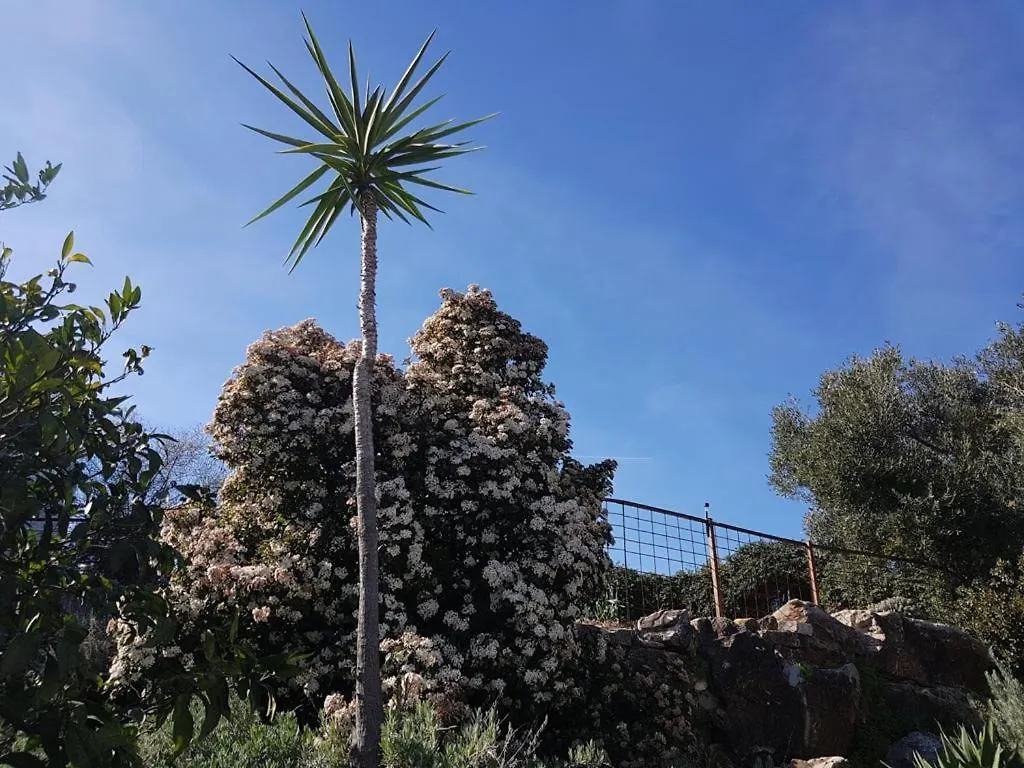 Casas De Almajar Villa Prado Del Rey Holiday home