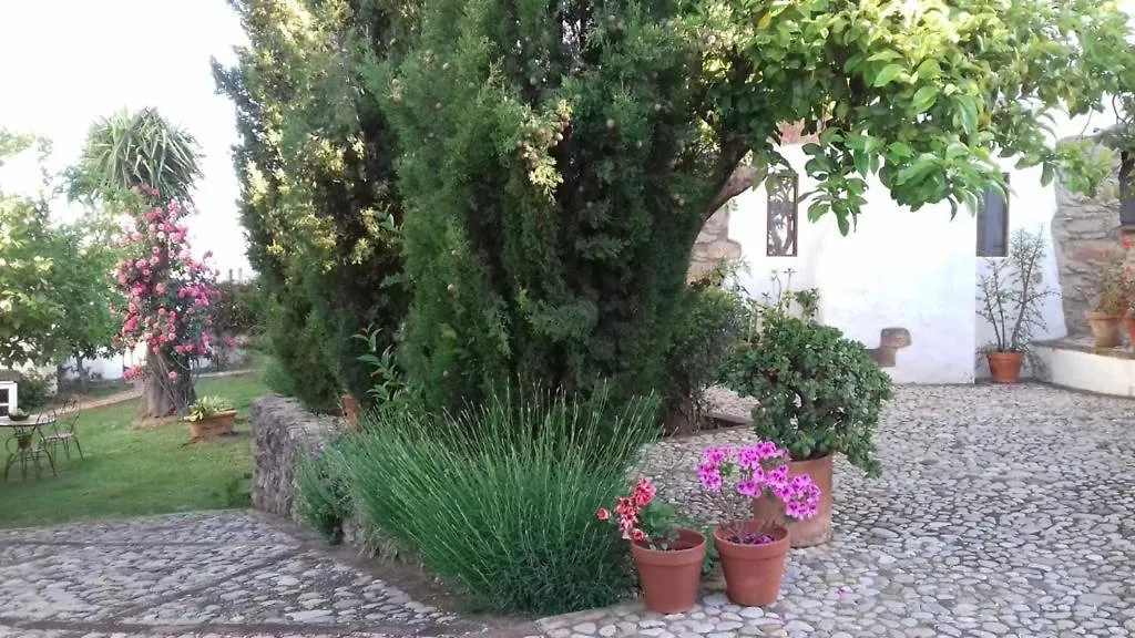 Casas De Almajar Villa Prado Del Rey Feriehus