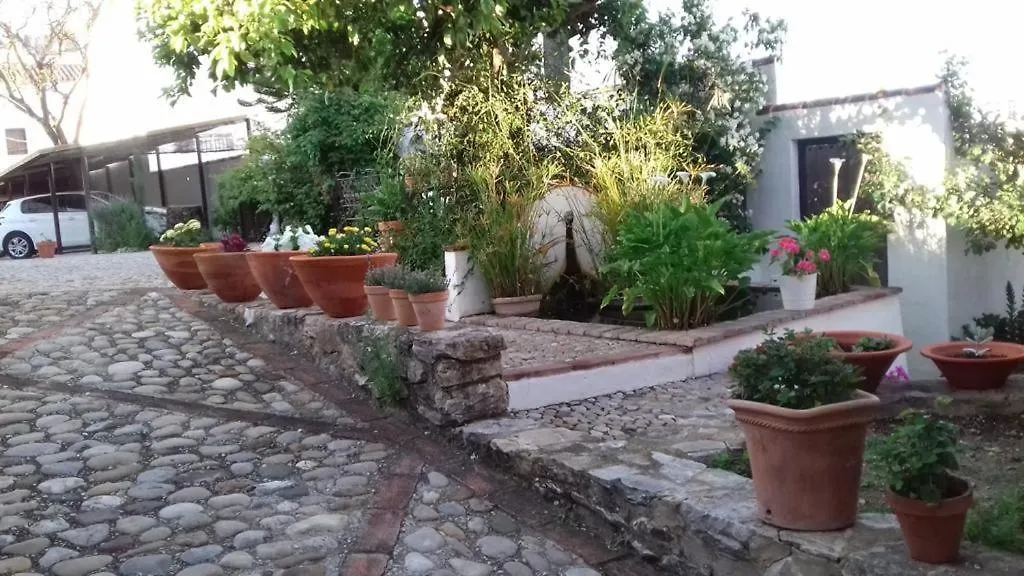Feriehus Casas De Almajar Villa Prado Del Rey Spanien