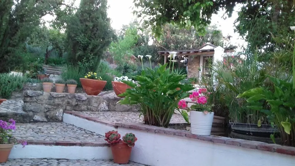 Casas De Almajar Villa Prado Del Rey